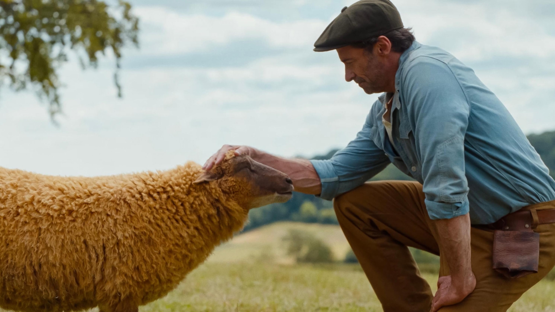 The Sheep Detectives
